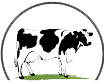 N-Dairies